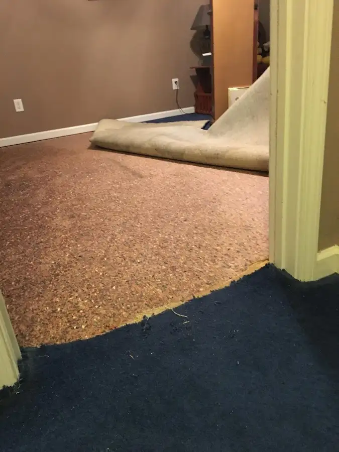 Carpet pad removal revealing water damage during Drying & Dehumidification in Saline