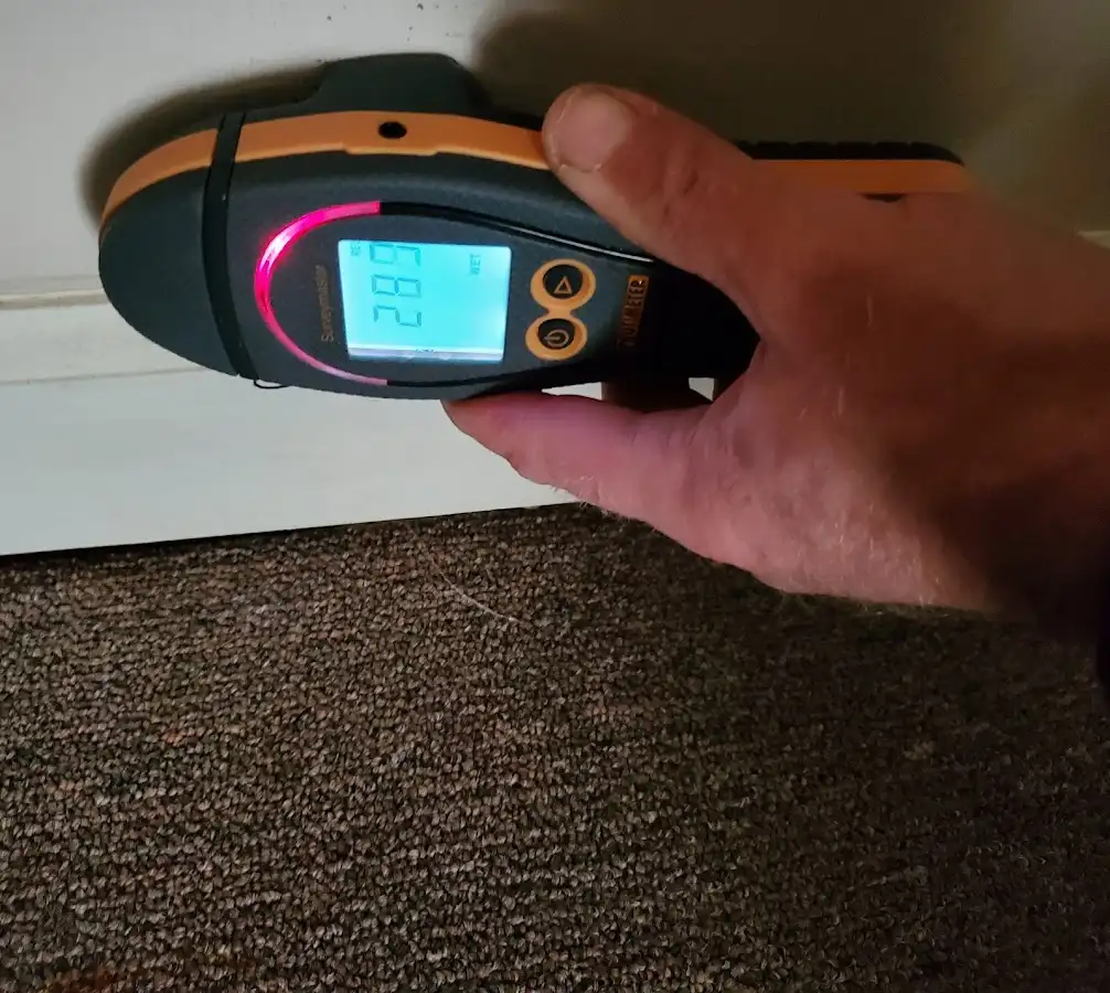 Moisture detection at baseboard during Mold Inspection & Testing in Saline